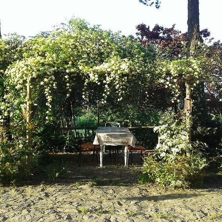B&B Della Rosa Civitella D'Arna Bagian luar foto