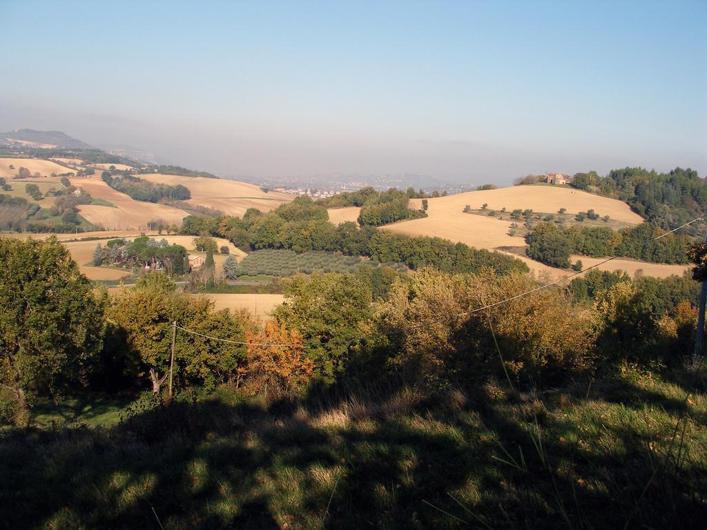 B&B Della Rosa Civitella D'Arna Bagian luar foto