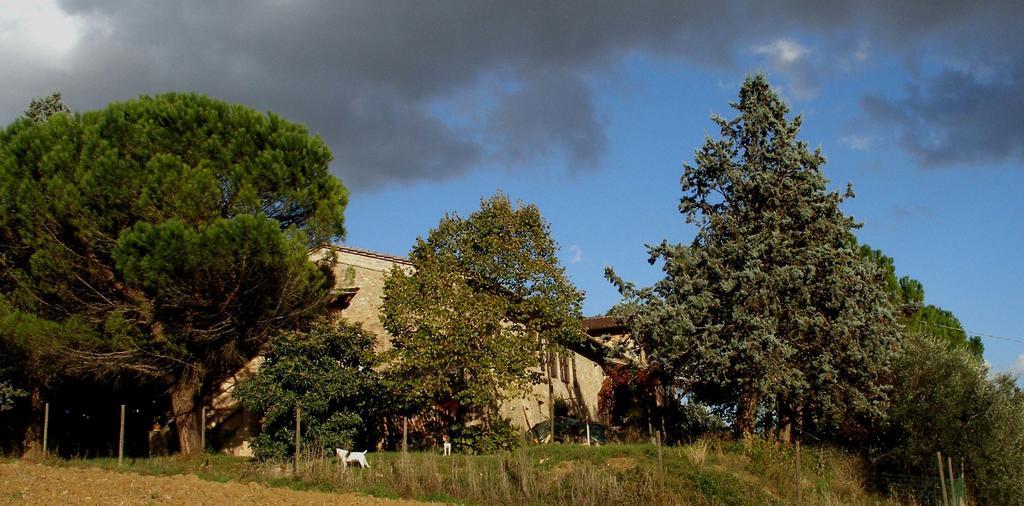 B&B Della Rosa Civitella D'Arna Bagian luar foto