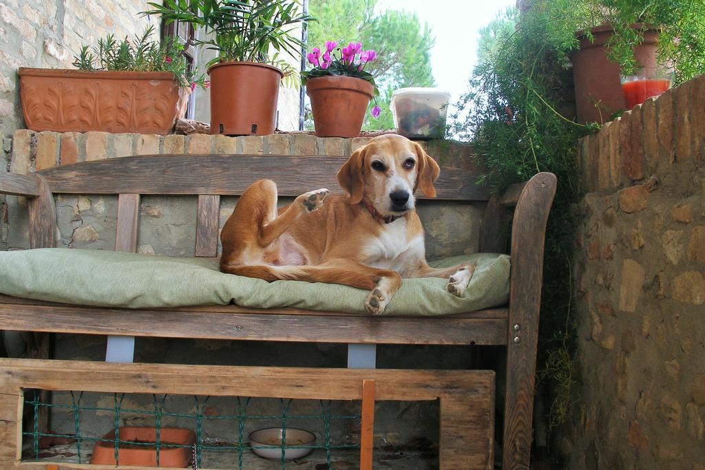 B&B Della Rosa Civitella D'Arna Bagian luar foto