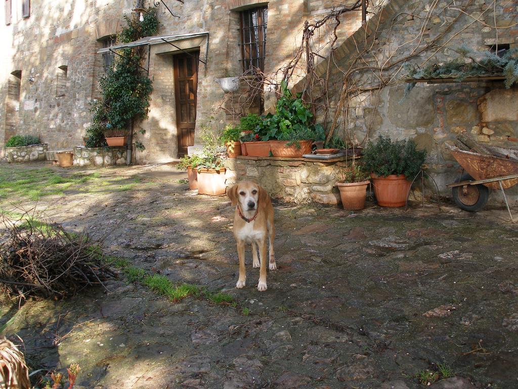 B&B Della Rosa Civitella D'Arna Bagian luar foto