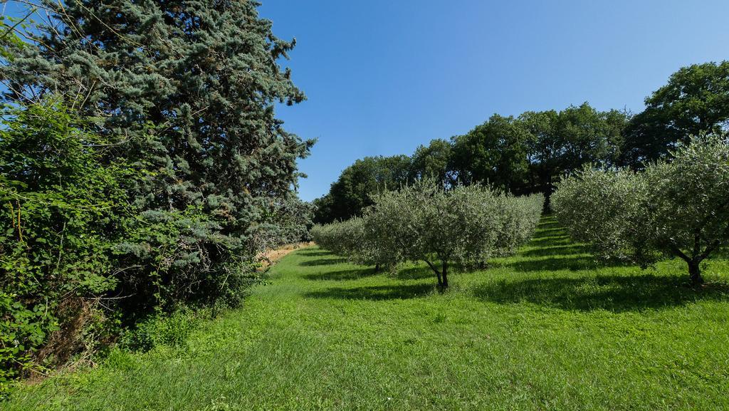 B&B Della Rosa Civitella D'Arna Bagian luar foto